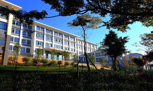 學校網站建設制作的意義和注意事項